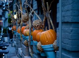 halloween fun heather paskewich