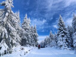 heather paskewich winter activities