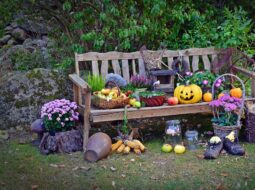 thanksgiving volunteering heather paskewich