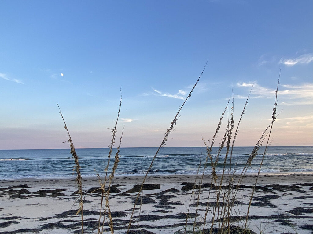 heather paskewich beach