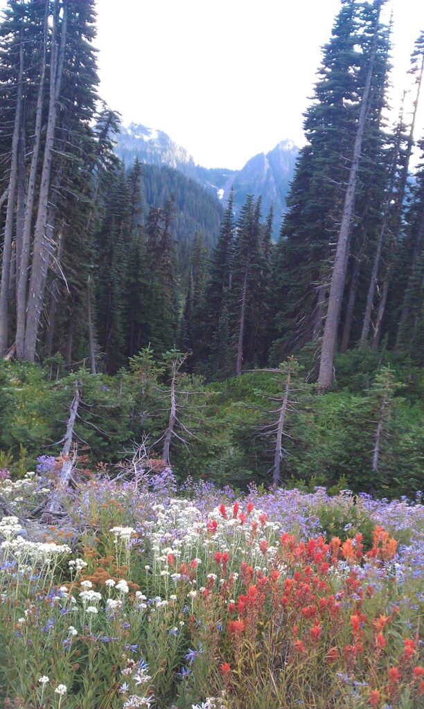 heather paskewich nature