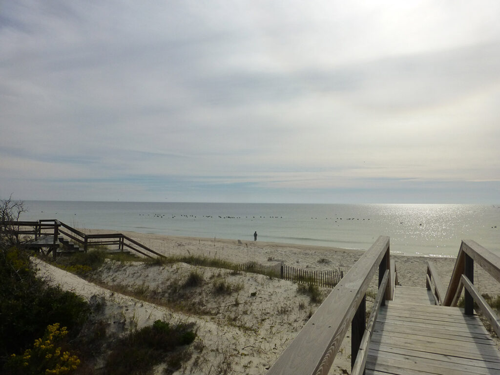 heather paskewich waterside 