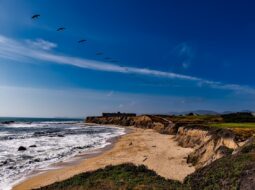 Golf Course Bird Watching
