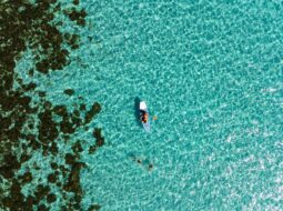 Top Water Sports for July 4th: Paddleboarding Adventures by Heather Paskewich