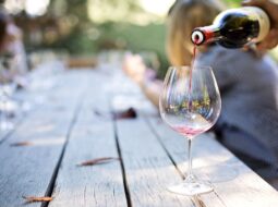 New England Vineyard Halloween Tastings: Heather Paskewich